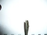 clasp2.webp