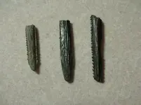sawtooth.webp