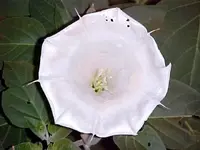 MVC-008F.webp