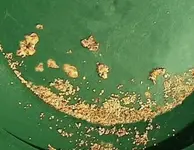 Nevada Gold.webp