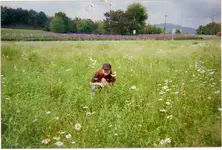 ME FIELD.webp