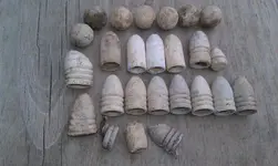 nov finds 2.webp