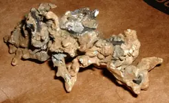 DSCF0001.webp