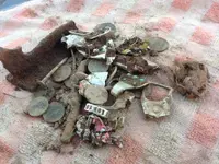 ImageUploadedByTreasureNet.com1419640816.424169.webp