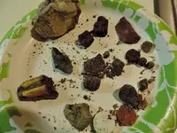DSCN0207.webp