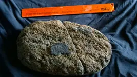 My rocks (13).webp My rocks (13).webp