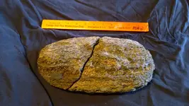 My rocks (16).webp My rocks (16).webp