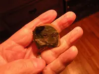 DSCN0395.webp