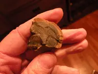 DSCN0397.webp