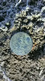 IMAG0206.webp