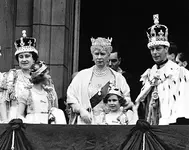 king9.webp