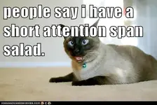 9c019371-e8c1-4632-b56b-d95b3bfd0042.webp