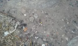 20150108_115239.webp