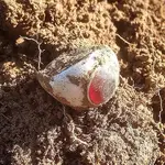 ImageUploadedByTreasureNet.com1420171129.625999.webp