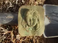 rosette dirty.webp