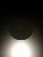10822499_10153451082558797_1957453859_n.webp