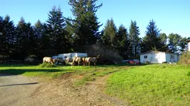 DSCN6608.webp