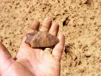 Insitu 1a.webp