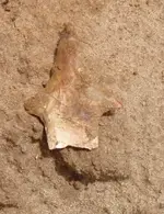 Insitu 3a.webp