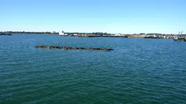 DSCN6620.webp