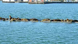 DSCN6623.webp
