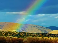 RSCN6522.webp