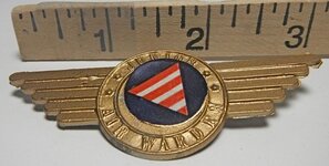 junior air warden pin 1940s ebay.jpg