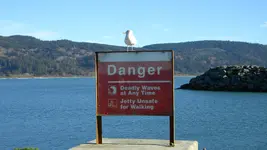 DSCN6626.webp
