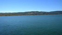 DSCN6629.webp