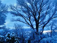 DSCN7604.webp