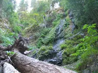 170_7011.webp