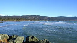 DSCN6631.webp