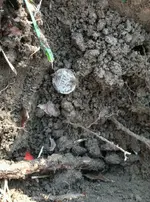 hole1.webp