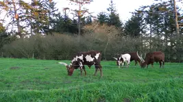 DSCN6634.webp