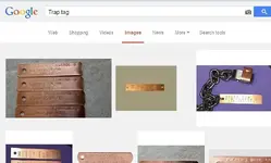 trap.webp