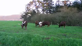 DSCN6637.webp
