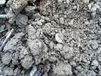 ImageUploadedByTapatalk1418941158.120511.webp
