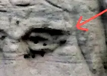 stonehead_pic_6arrow2.webp