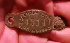 dogtag.webp