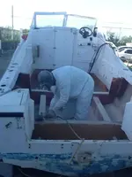 image-445331171.webp