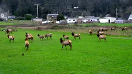 DSCN6445.webp