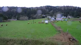 DSCN6456.webp