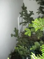 IMG_0221.webp