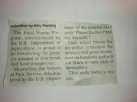 welfare.webp