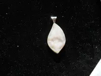 DSCN1698.webp