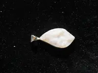 DSCN1699.webp
