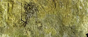 Stone3.webp