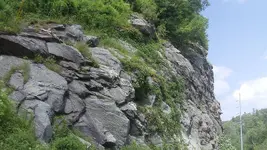 125_1955.webp