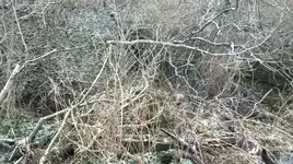 WP_20141217_013.webp