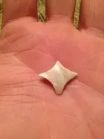 ImageUploadedByTreasureNet.com1419657649.324916.webp